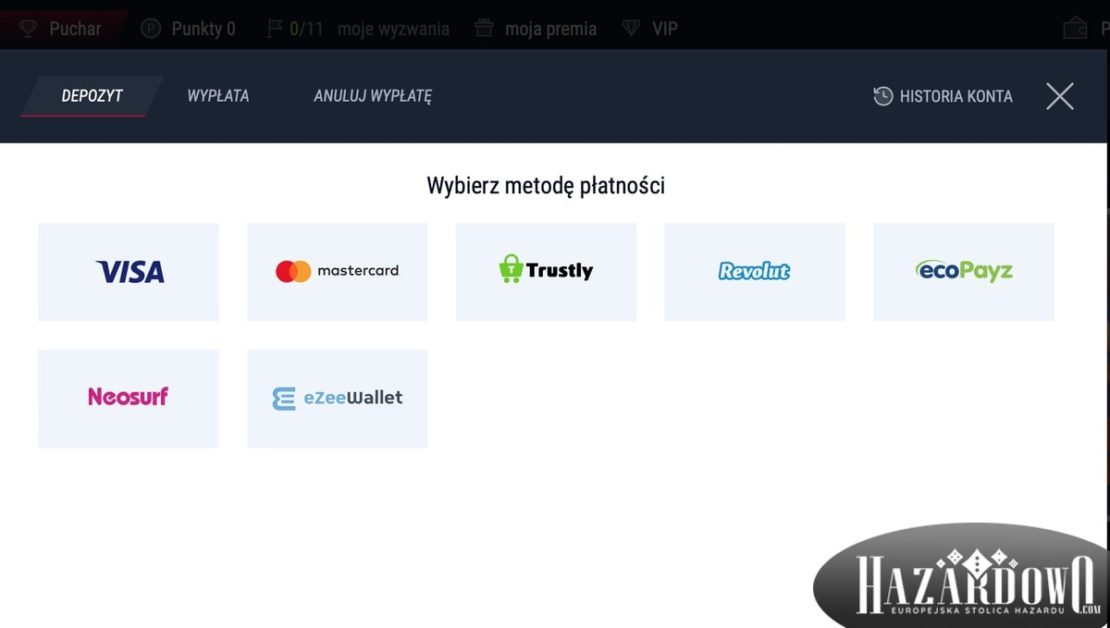 Kasyno Rabona Metody Wpłaty